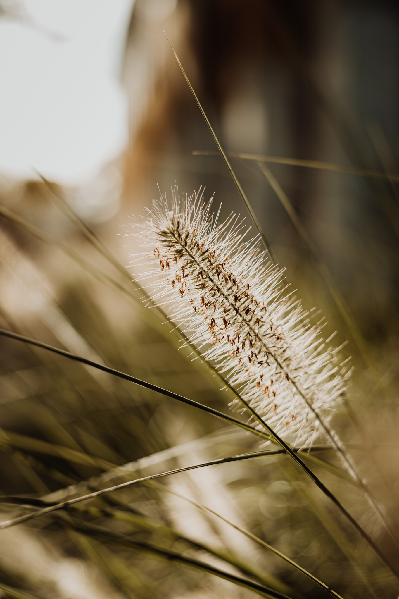 photographe de mariage extérieur de la bastide de cazaubon