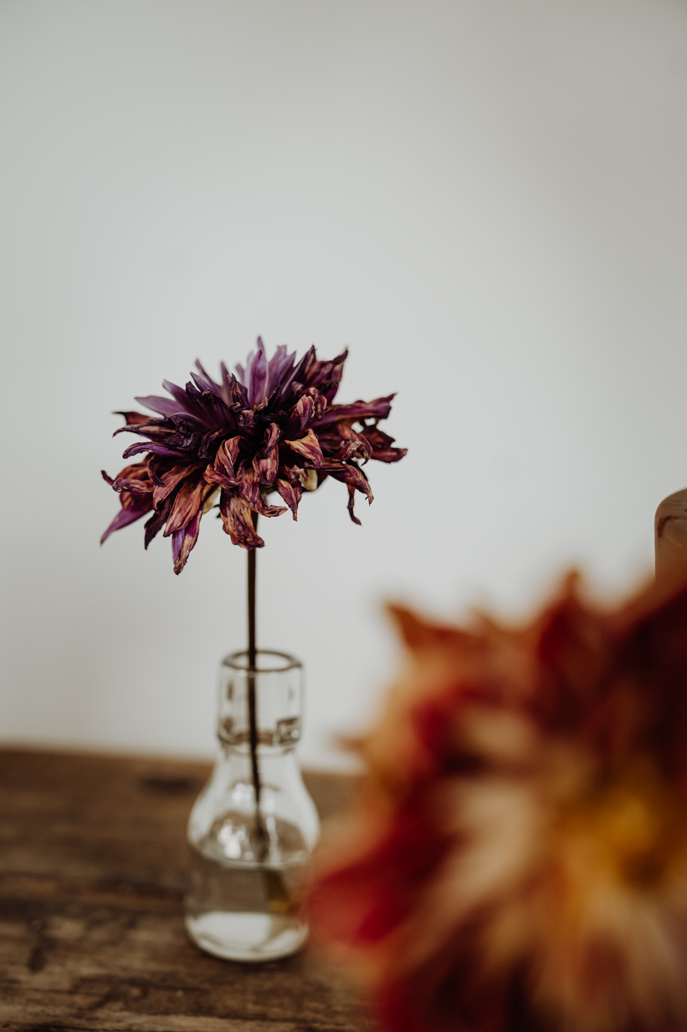 photographe de mariage extérieur de la bastide de cazaubon