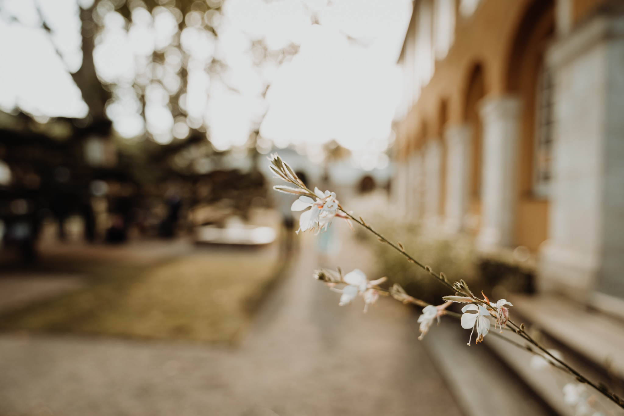photographe de mariage extérieur de la bastide de cazaubon